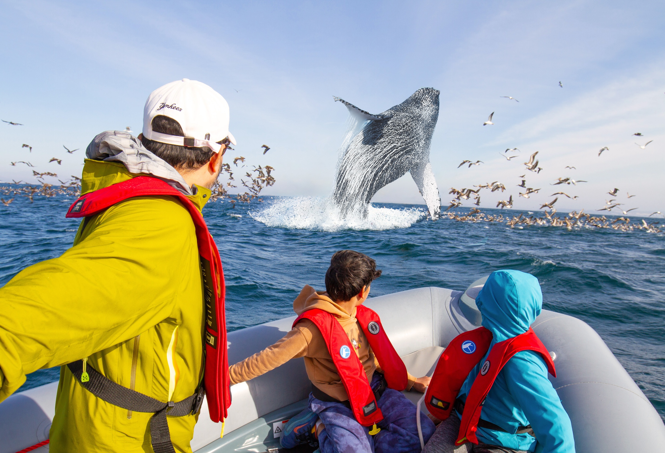 San Diego From the Water: Whale Watching, Dolphin Cruises & Fishing Adventures