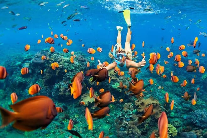 Quintana Roo, Mexico: Scuba Diving & Snorkeling in Cozumel and the Caribbean