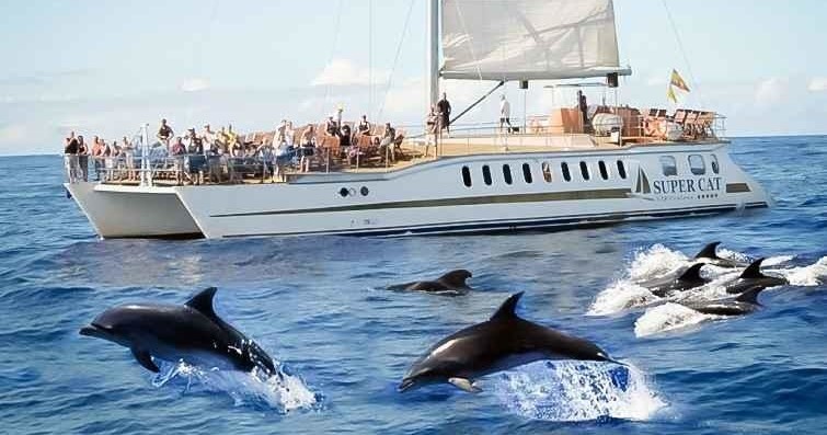 Canary Islands Boat Tours: Nature, Dolphins, Sailing & Snorkeling