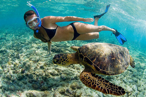 Honolulu Scuba Diving & Snorkeling: Wrecks, Turtles, Dolphins & Ocean Adventures