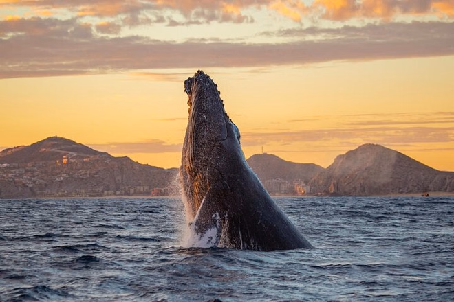 Baja California Sur