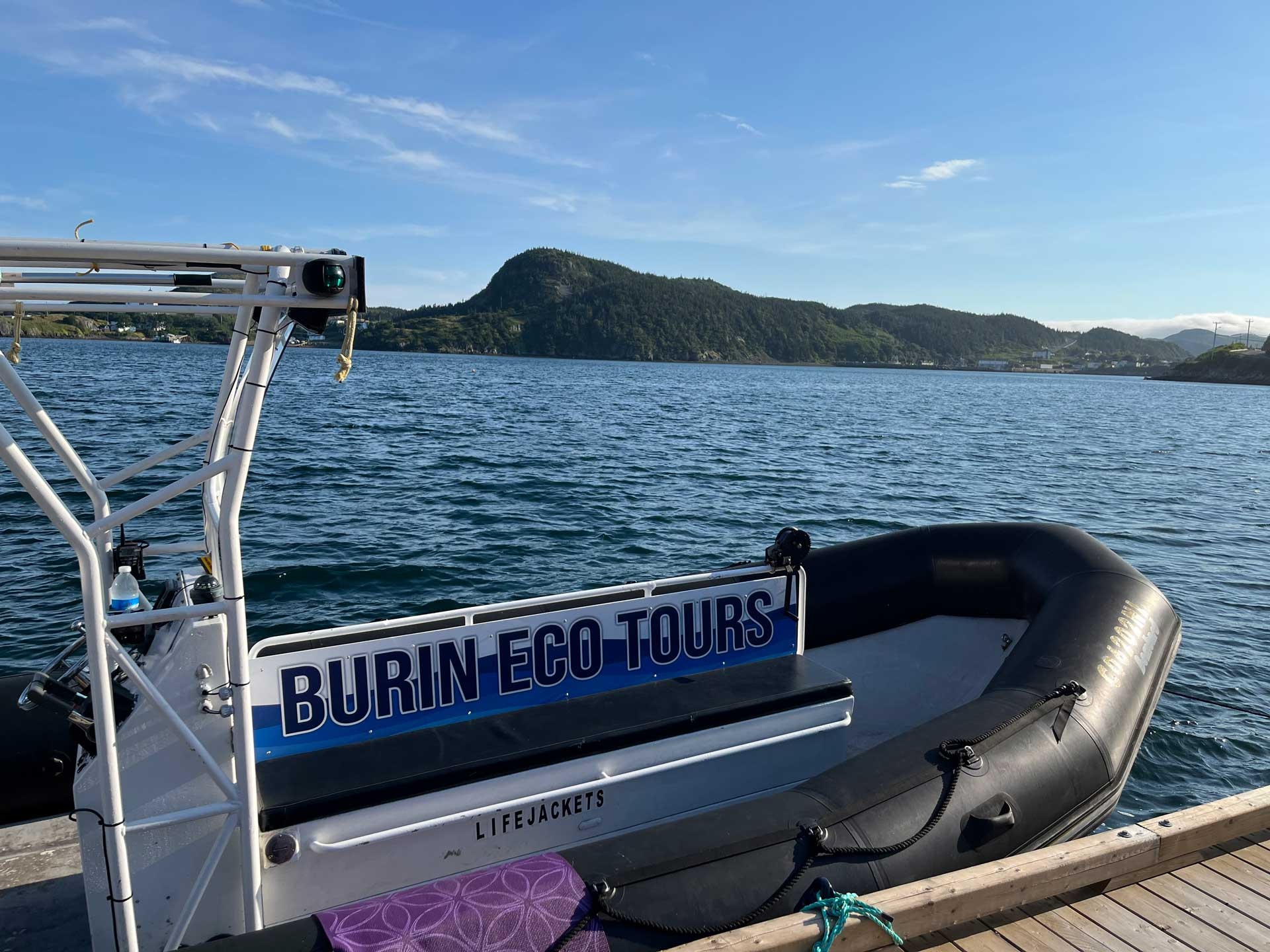 Burin