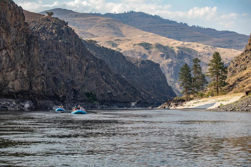 Wallowa