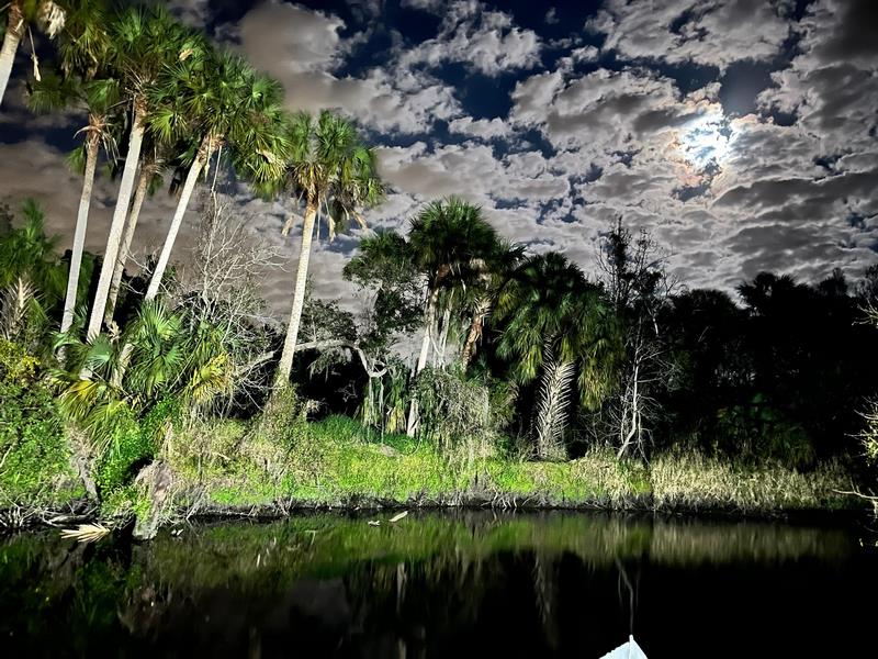Wimauma