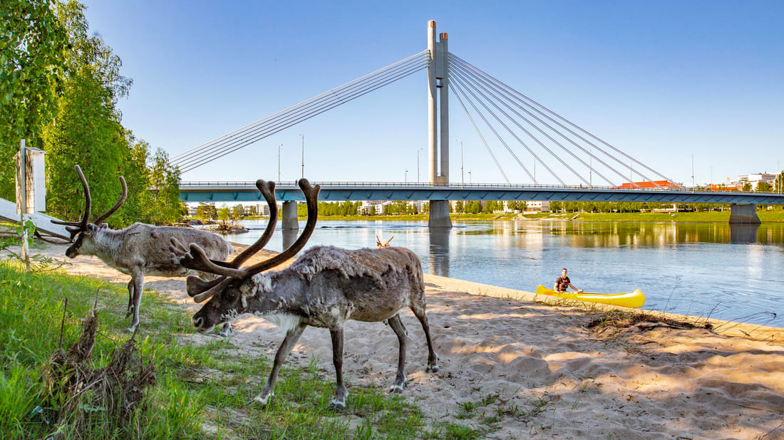 Cultural Canoe Trip around Rovaniemi Finland