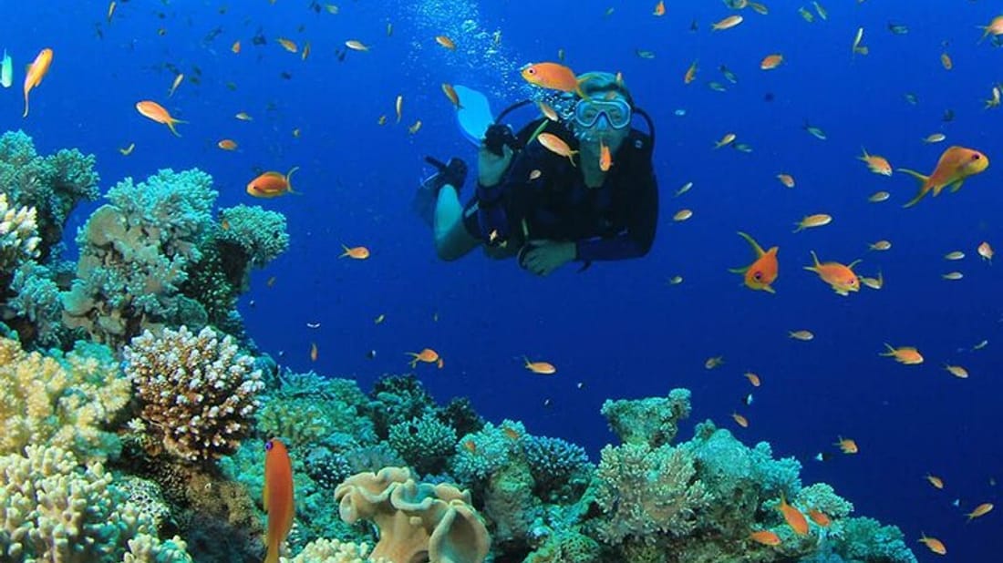 Scuba Diving Tour with Lunch in Alanya