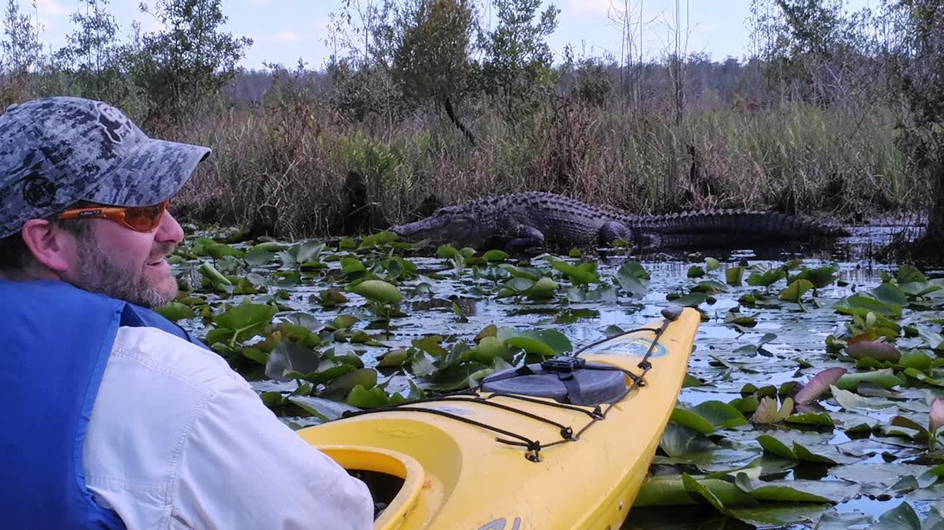 Orlando Alligator Experience in Florida 